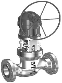 Globe Valve